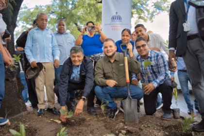 FEDA and SDO Mayor's Office promote reforestation with 10,000 trees