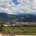 Jarabacoa and Constanza lead the mountain tourism boom in the DR Mountain tourism in the Dominican Republic is experiencing its best moment. Following the pandemic, Jarabacoa and Constanza have established themselves as preferred destinations, shifting the traditional focus from sun and beach toward adventure, nature, and agritourism experiences. Jarabacoa stands out as the capital of adrenaline. Activities such as paragliding, rafting, hiking, and canyoning have recorded exponential growth, with operators now receiving up to 800 people per month. This constant flow has energized the local economy, boosting job creation, the expansion of hotel infrastructure, and greater demand in the service sector, from restaurants to small businesses. For its part, Constanza has capitalized on its rural and agricultural charm. Beyond its imposing mountain landscapes, such as Valle Nuevo and Aguas Blancas, the municipality offers a unique agricultural route that allows visitors to explore greenhouses and strawberry and vegetable crops. This model, which combines local production with tourism, attracts hundreds of people daily, especially during the winter season. The success of both destinations has generated a multiplier effect on the Dominican economy. However, this accelerated growth poses significant challenges. Both authorities and tour operators agree that sustainability is the key to the future. Waste management, traffic control, and the preservation of natural resources are now priorities to ensure that these mountains remain a competitive tourism asset, highly valued by both domestic and foreign visitors.