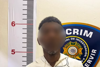 Man arrested with homemade weapon and machete in La Vega