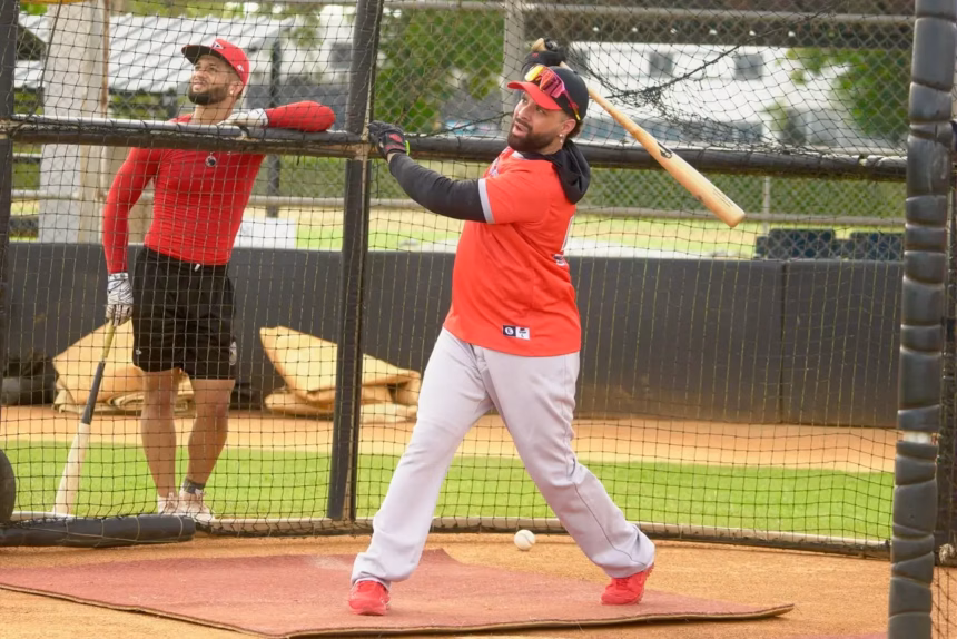 Leones del Escogido reinforce their roster with De la Cruz, Lao and Santos